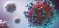 Eine Veranschaulichung eines Corona-Viruses