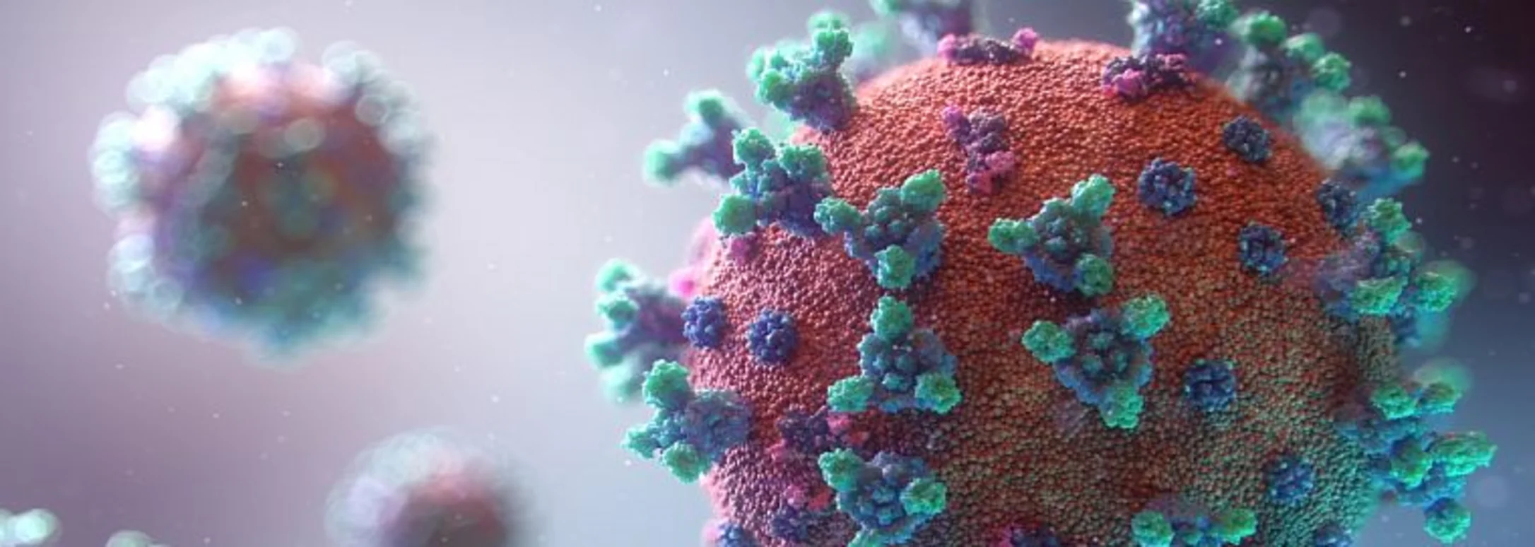 Eine Veranschaulichung eines Corona-Viruses
