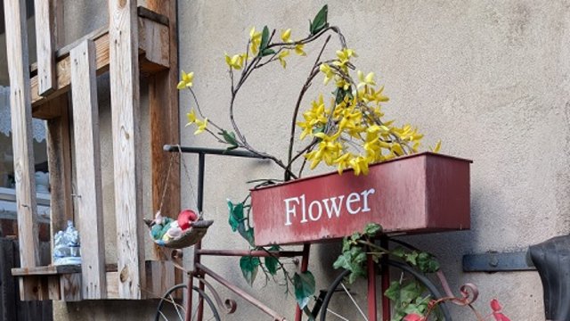 2.000 Euro für den Wohlfühlgarten: IB unterstützt Menschen mit Demenz
