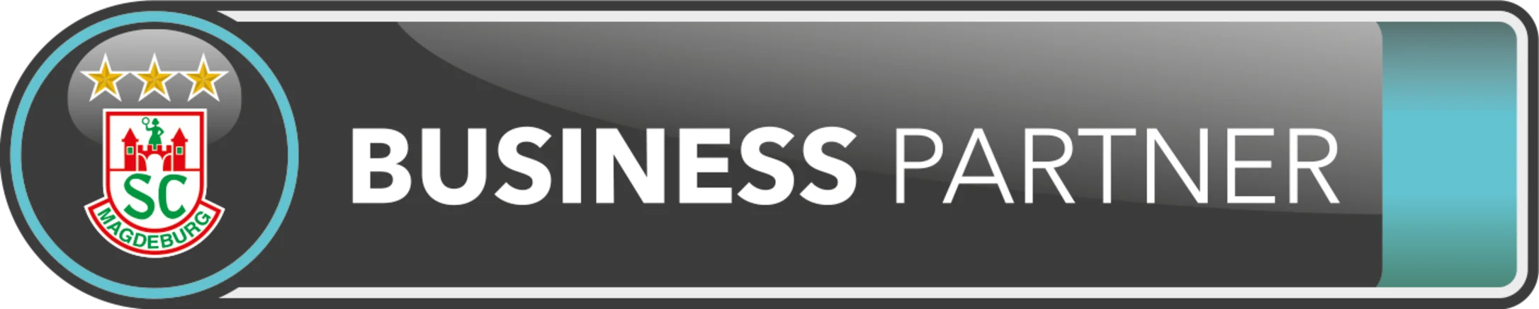 Logo Business Partner SCM
