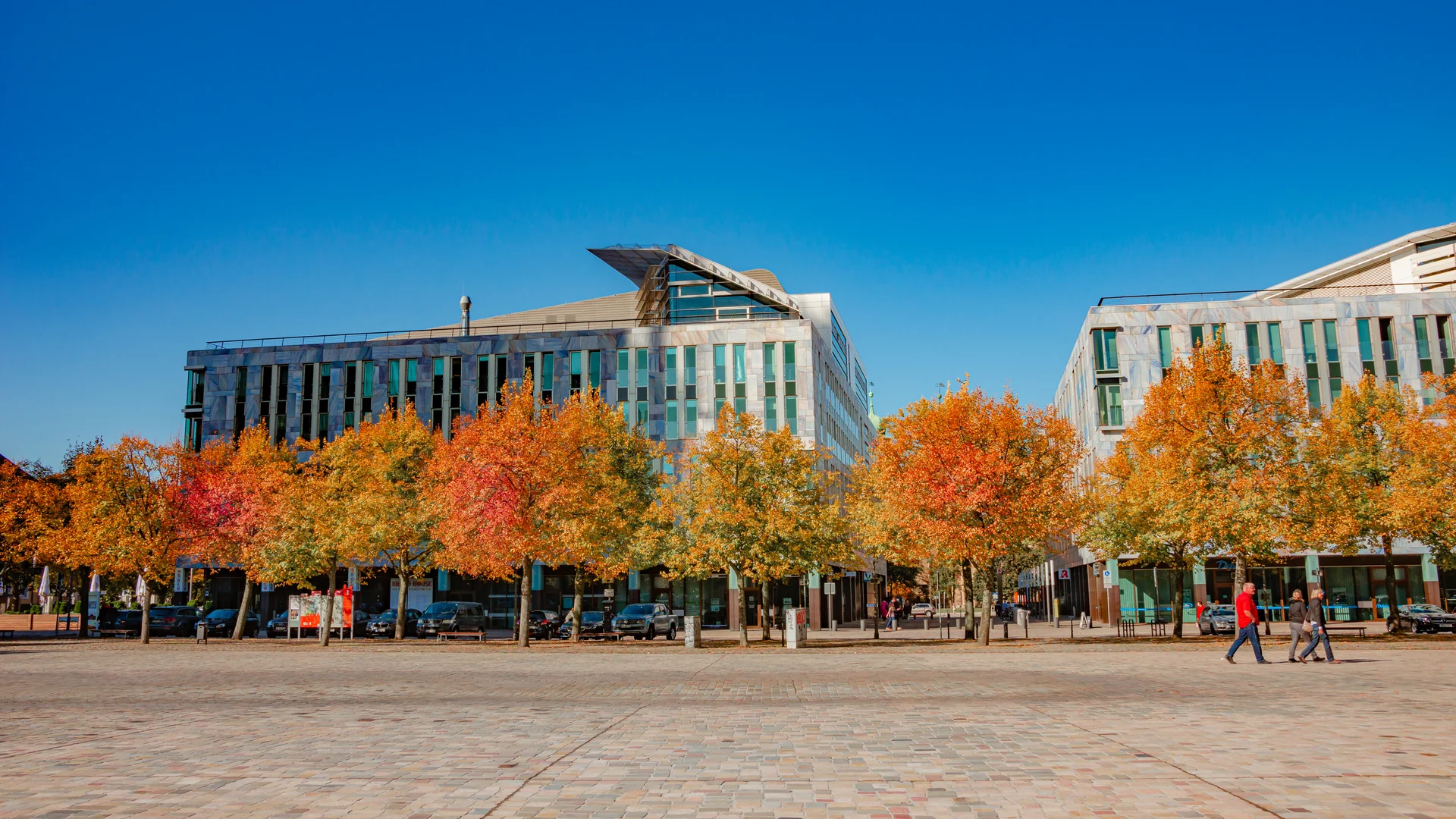 Gebäude der Investitionsbank, davor der Magdeburger Domplatz mit herbstlichen Bäumen