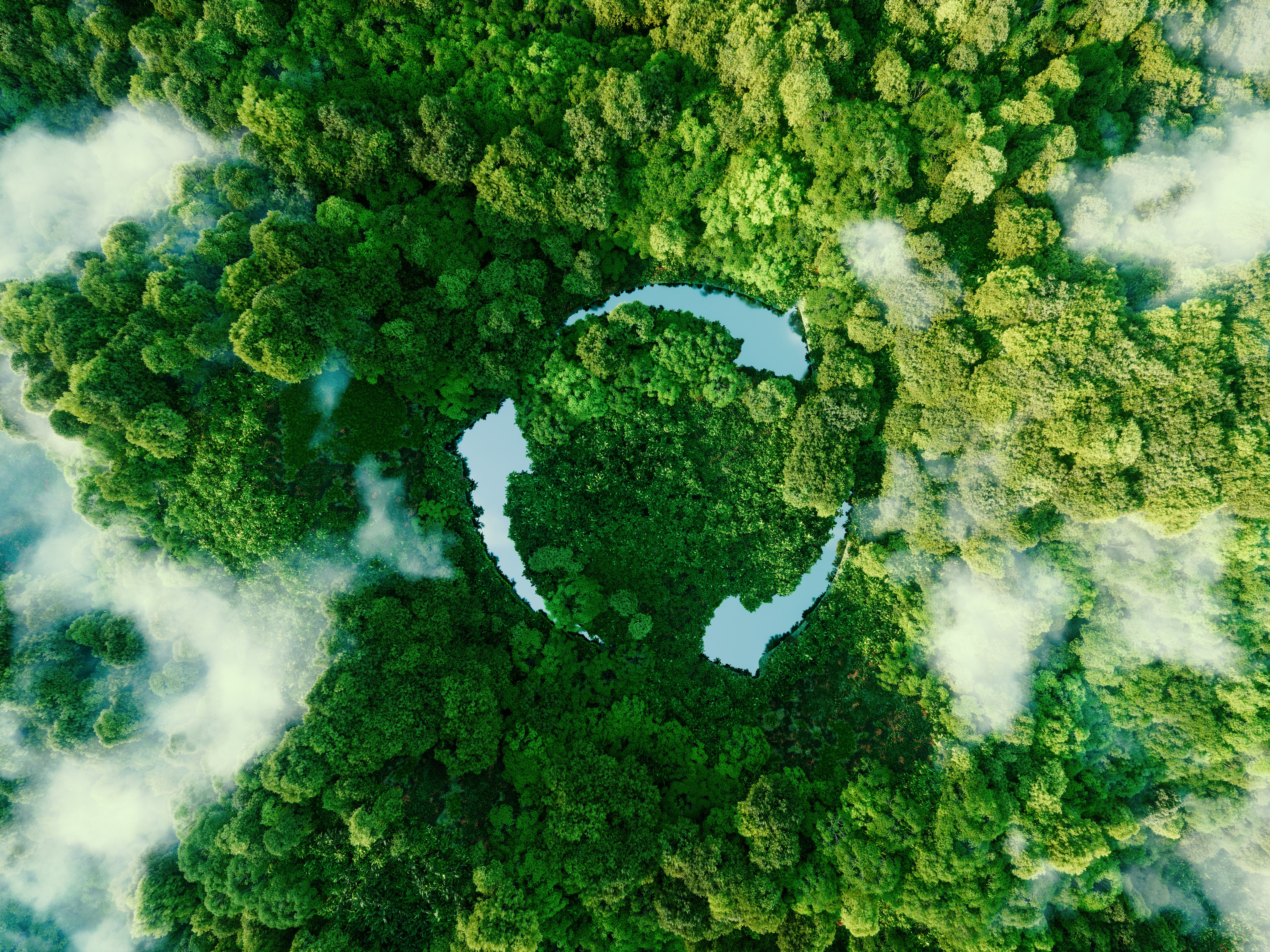 Ein Wald mit einem Symbol fürs Recyceln