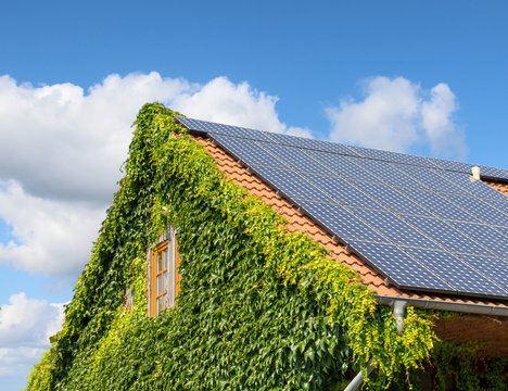 Ein überwachsenes Haus mit Solaranlagen auf dem Dach