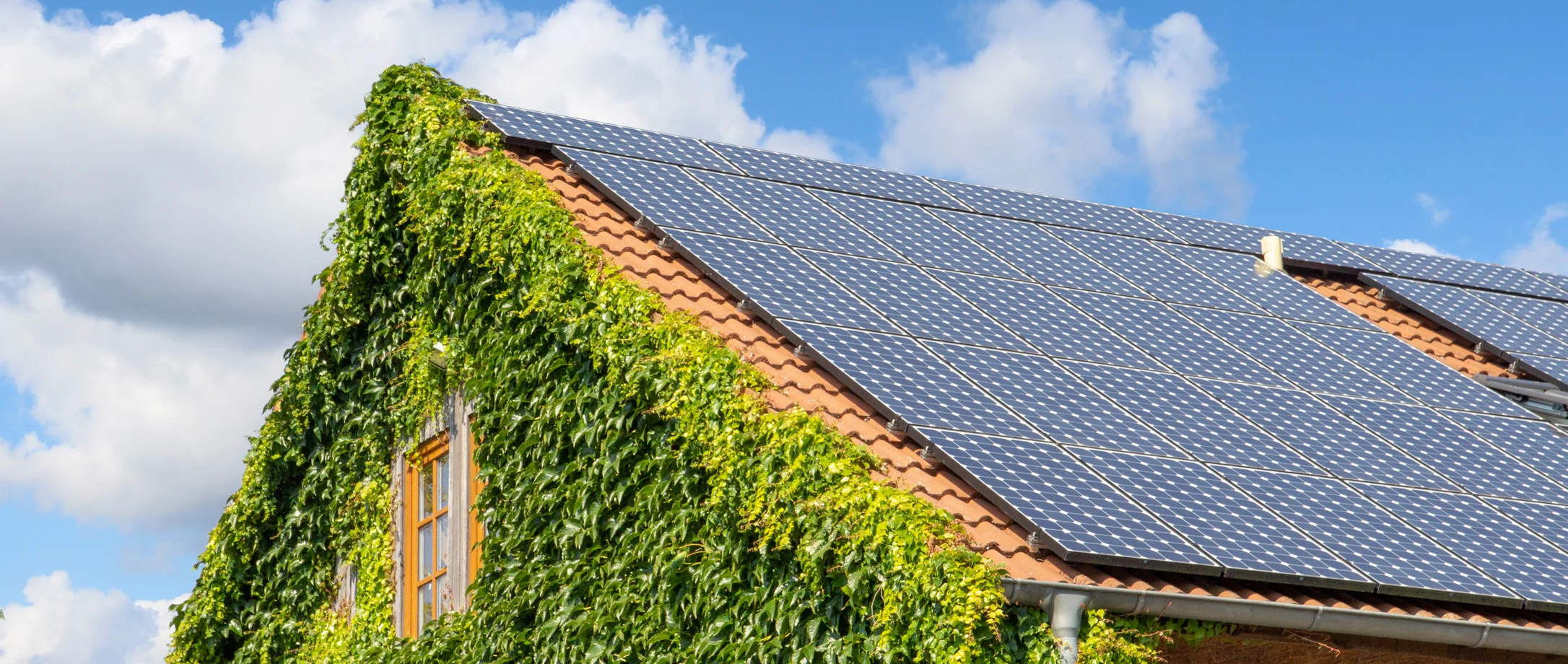 Ein überwachsenes Haus mit Solaranlagen auf dem Dach