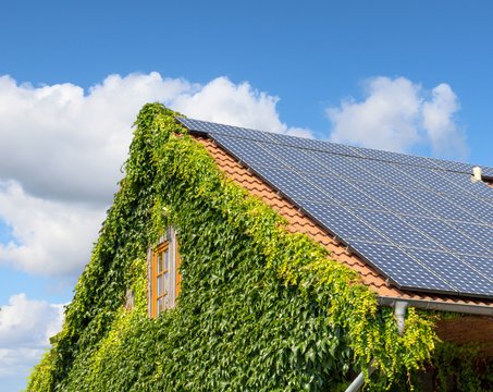 Ein überwachsenes Haus mit Solaranlagen auf dem Dach